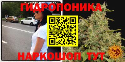 Альфа ПВП Аргун