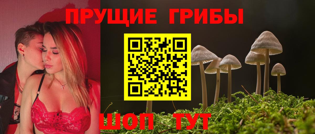 даркнет сайт  Псилоцибиновые грибы Psilocybe  Вход с VPN  Великий Новгород 